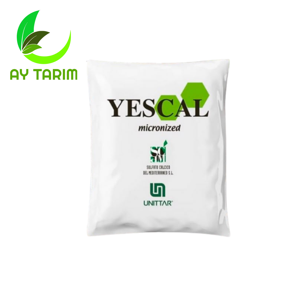 Ana Sayfa Ay Tarım